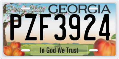 GA license plate PZF3924