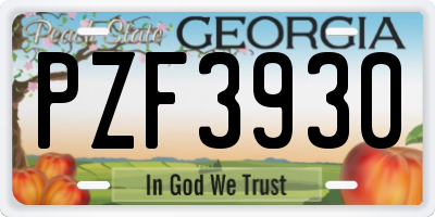 GA license plate PZF3930
