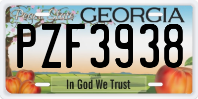 GA license plate PZF3938