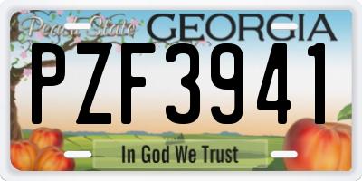 GA license plate PZF3941