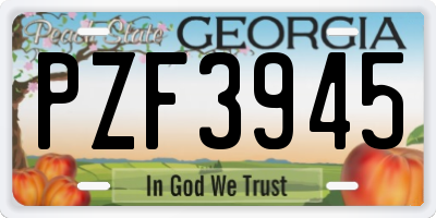 GA license plate PZF3945