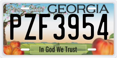 GA license plate PZF3954