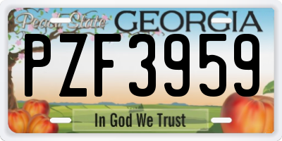 GA license plate PZF3959