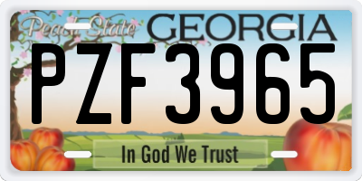 GA license plate PZF3965