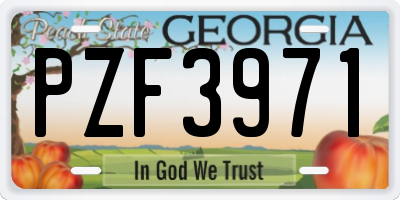 GA license plate PZF3971
