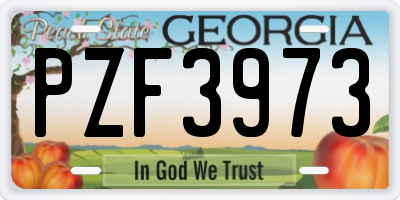 GA license plate PZF3973