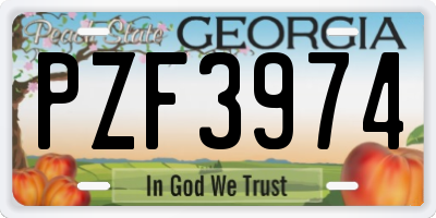 GA license plate PZF3974