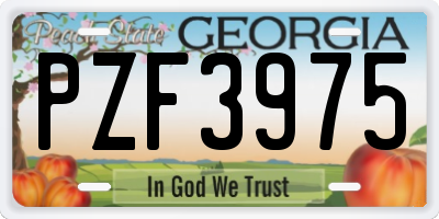 GA license plate PZF3975
