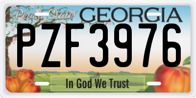 GA license plate PZF3976