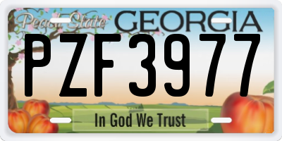 GA license plate PZF3977