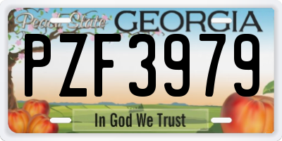 GA license plate PZF3979