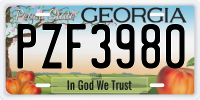 GA license plate PZF3980