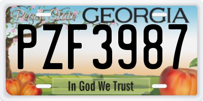 GA license plate PZF3987