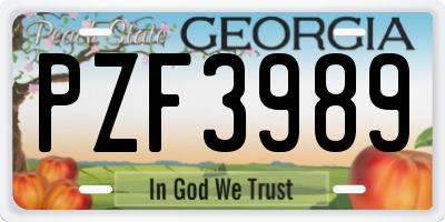 GA license plate PZF3989