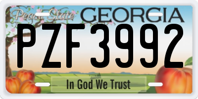 GA license plate PZF3992