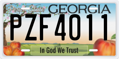 GA license plate PZF4011