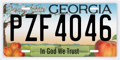 GA license plate PZF4046