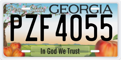 GA license plate PZF4055