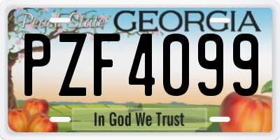 GA license plate PZF4099