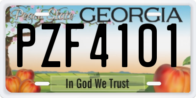 GA license plate PZF4101