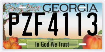 GA license plate PZF4113