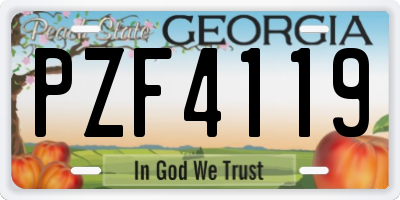 GA license plate PZF4119