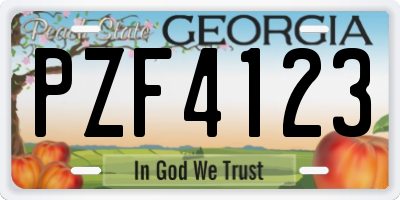 GA license plate PZF4123