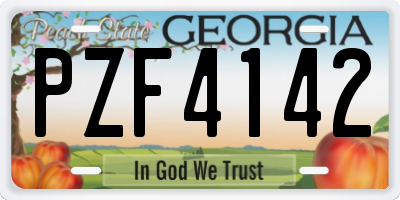 GA license plate PZF4142