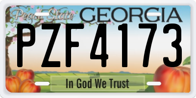 GA license plate PZF4173