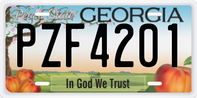 GA license plate PZF4201