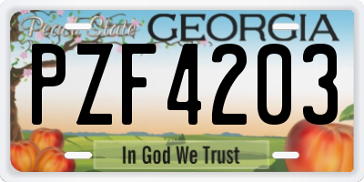 GA license plate PZF4203