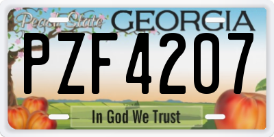 GA license plate PZF4207