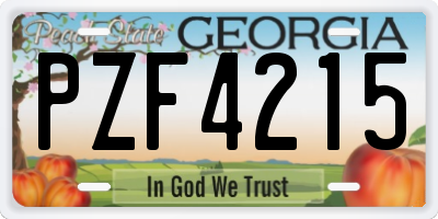 GA license plate PZF4215