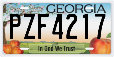 GA license plate PZF4217