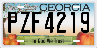 GA license plate PZF4219