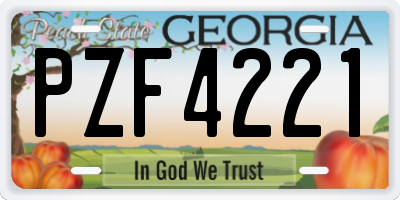 GA license plate PZF4221