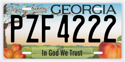 GA license plate PZF4222