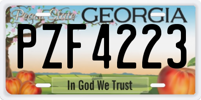 GA license plate PZF4223