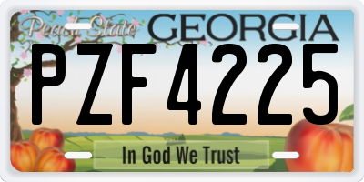 GA license plate PZF4225