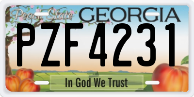 GA license plate PZF4231