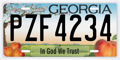 GA license plate PZF4234