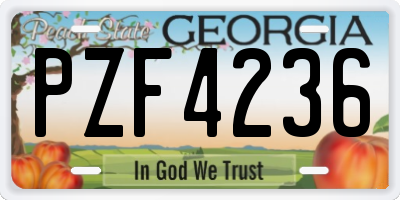 GA license plate PZF4236