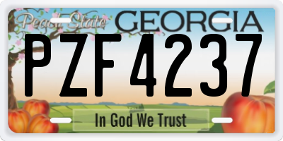 GA license plate PZF4237