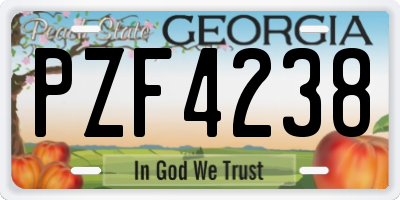 GA license plate PZF4238