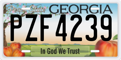 GA license plate PZF4239
