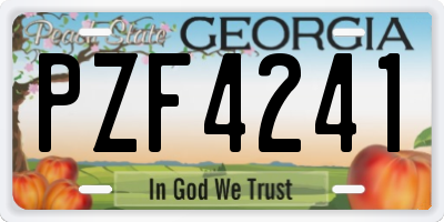 GA license plate PZF4241