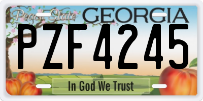 GA license plate PZF4245