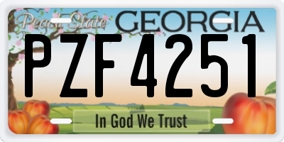 GA license plate PZF4251