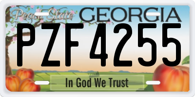 GA license plate PZF4255
