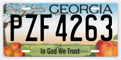 GA license plate PZF4263